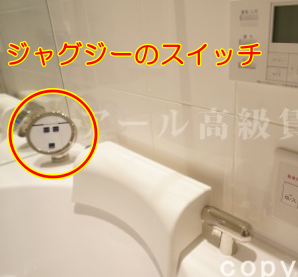 パークマンション三田綱町ザフォレスト　お風呂