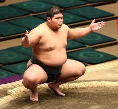 落合が新十両昇進決定！史上最速1場所で関取に 29歳・玉正鳳も昇進決定― スポニチ Sponichi Annex スポーツ
